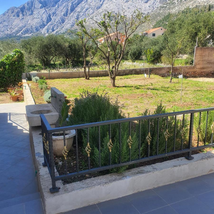 Marina Appartement *